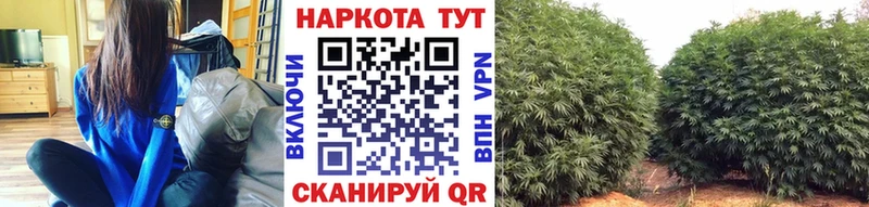 Галлюциногенные грибы Учалы