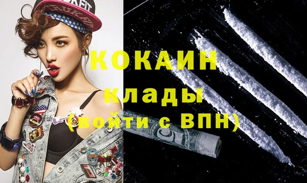 амф Магас