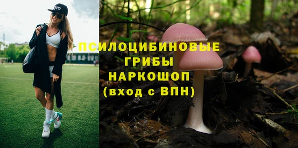 jwh Лиски
