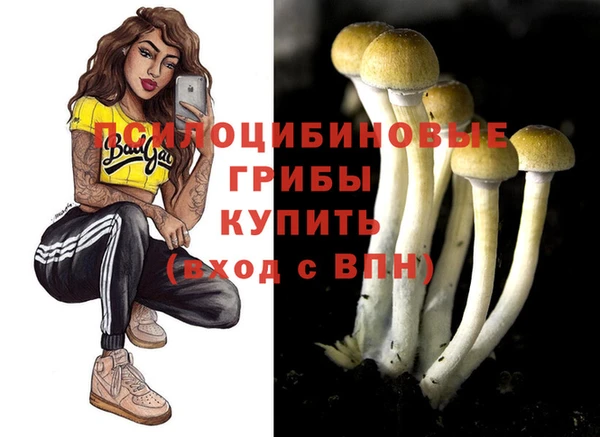 крисы Лихославль